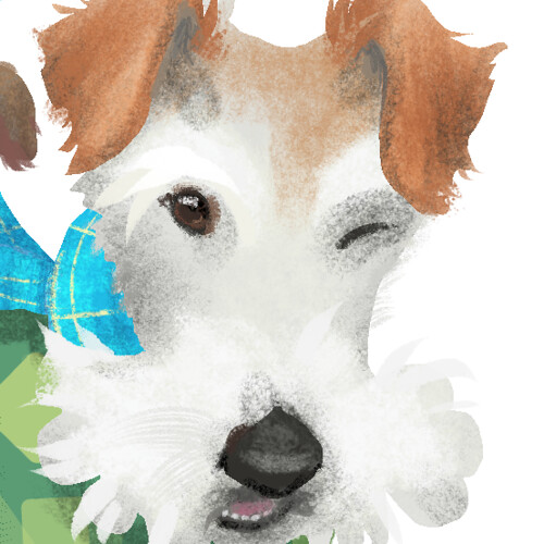 cropped wire fox terrier