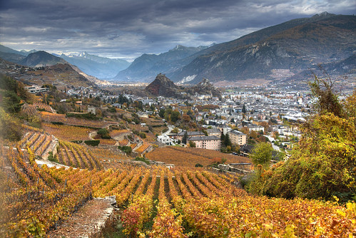 ch rhone schweiz seduno sion sitten suisse suiza svizzera switzerland valais wallis automne autumn autunno herbst høst toamna vineyard