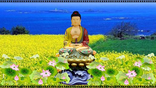 buddha ayu paling anyar download gratis | by hoangduongphatphap