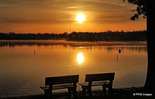 sunrise florida sun water reflection benches tree trees lake lakebrown kissimmee yellow sky clouds amber canon t1i slr outdoor nature landscape flickr