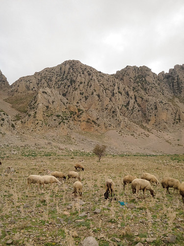 zaghouan tunisia tunisie mountains hiking valley sheep