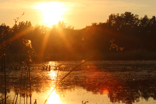 sunset landscape water lensflare nature