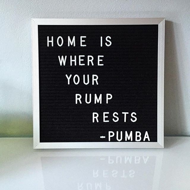 Most Funny Quotes : Home is where your rump rests. // Pumb… | Flickr