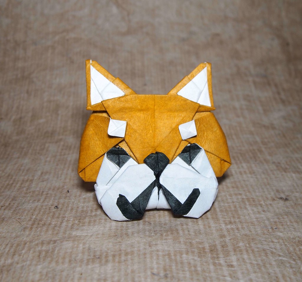 Origami Shiba Inu Head 柴犬の顔 創作 折り 小林弘明 Origami Shiba I Flickr