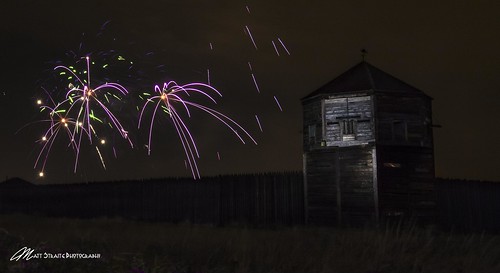 fireworks firework national park fort outdoor landscape washington night light painting cat