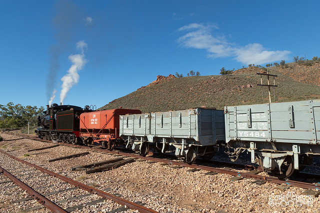 Pichi Richi Railway - Yx141 Steam Locomotive