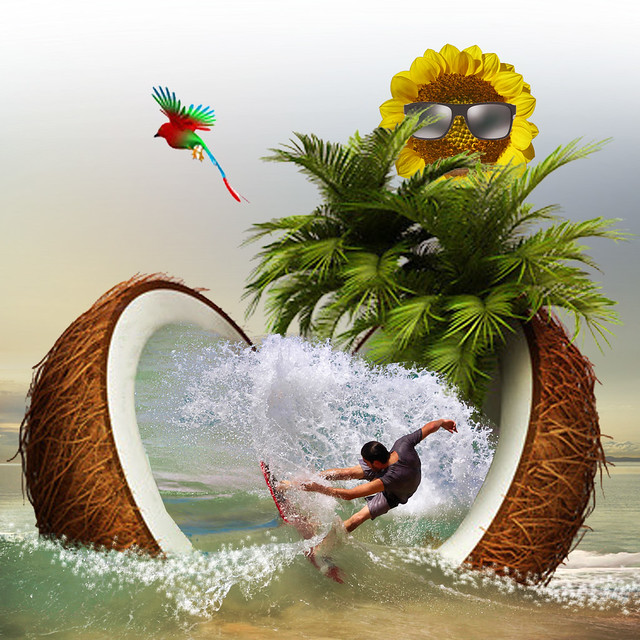 Surfing in coconut water
