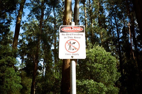 No Bird Feeding in this Area | Photographed using the Hanime… | Flickr