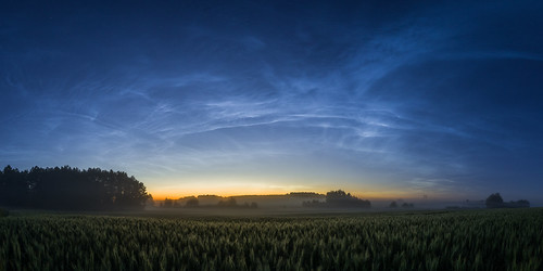 spaceclouds night field trees clouds summertime summer estonia dawn spactacular tranquility