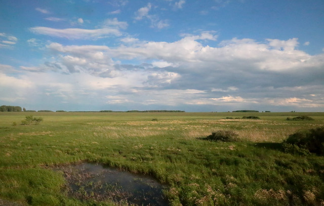 Russian Steppe