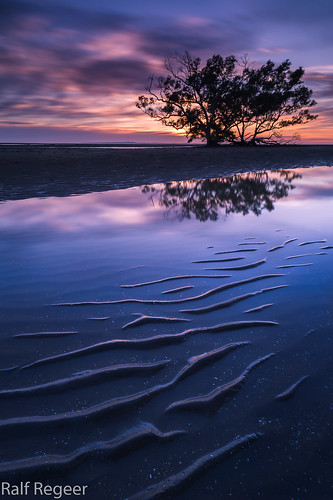 australia nudgeebeach mangrove sunrise queensland dawntoduskphotography