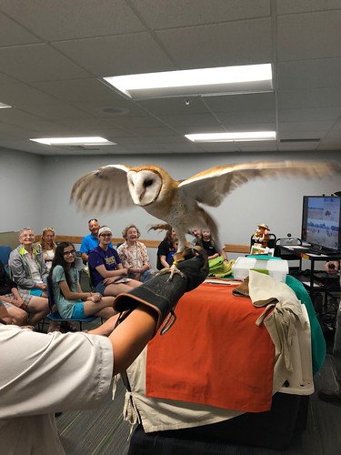 Meeting an owl and learning about conservation from Wild Hearts Mobile Teaching Zoo