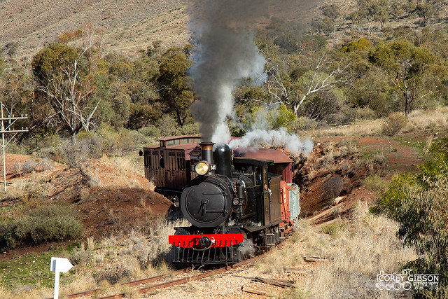 Pichi Richi Railway - Yx141 Steam Locomotive
