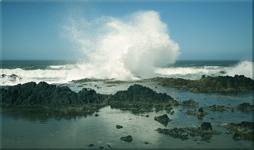 waves wave oregon coast pacific ocean