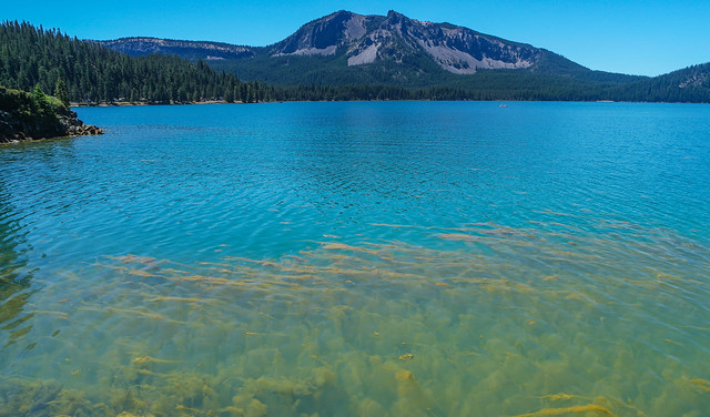 Paulina Lake: Algae in lake - Paulina Peak in background