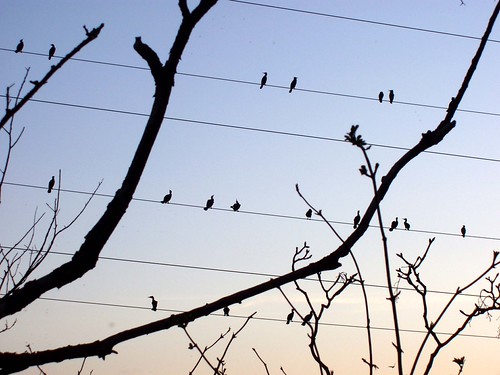 On the high wires by ExeDave