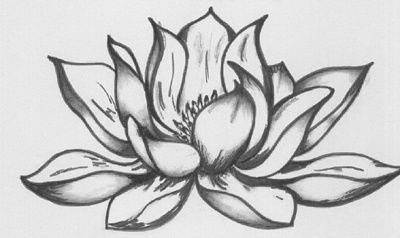 LOTUS FLOWER Drawing by Dulcie Dee | Saatchi Art-saigonsouth.com.vn