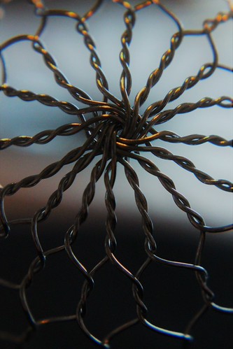 Macro_Monday_Mesh | by Caméléo