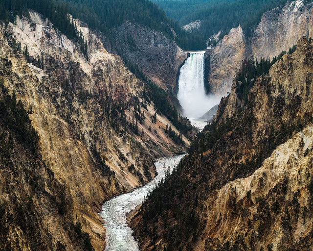 Lower Yellowstone Falls and the Grand Canyon of the Yellowstone