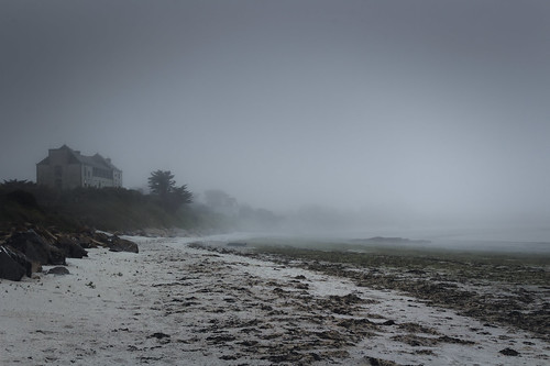 canon eos 100d 1855mm beach bretagne britanny finistere brouillard mist greentides maréesvertes pollution
