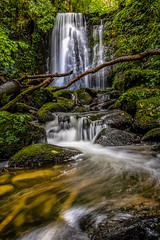 Matai Falls-7