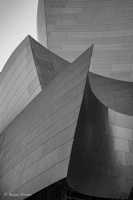 Walt Disney Concert Hall (Series Photos)