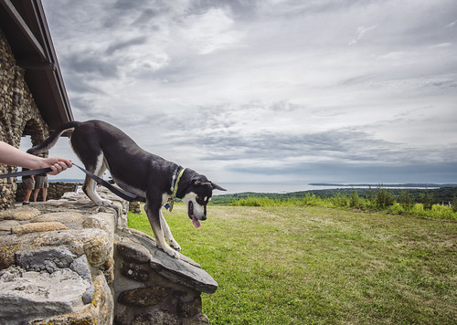 maine beechhill rockport me outside outdoors hiking summer dog rescuedog kids sky clouds