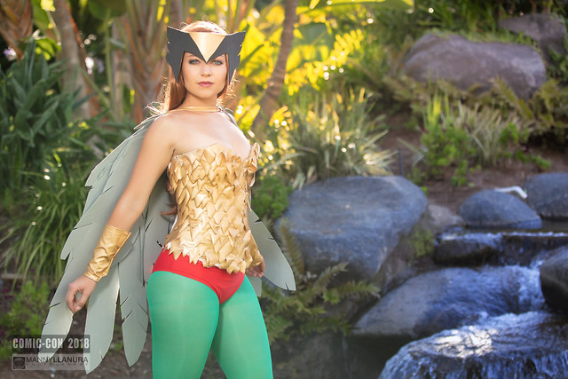 Hawkgirl Cosplay by Amber