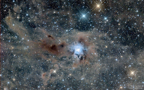 The Iris Nebula in a Field of Dust | by paulmallery650