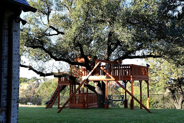 Tree deck with swings and fort