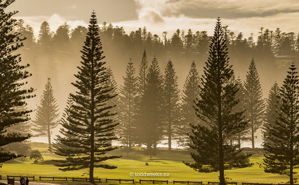 Norfolk Island, South Pacific