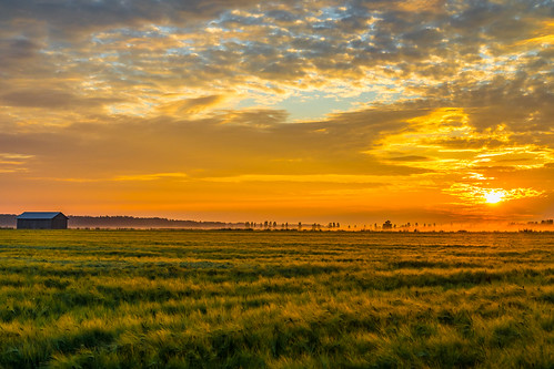 july early morning sunrise summer finland southern ostrobothnia landscape field barn sky colorful misty canon eos 5d mkiv sigma 50mm