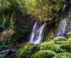 Matai Falls-12