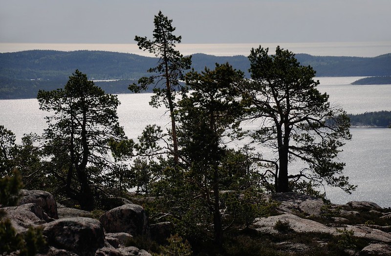 20180524-054F | Skuleskogen-Nationalpark: Blick vom Slåttdalsberget über die Ostsee zur Insel Ulvö. Höga Kusten, Ångermanland / Schweden, 24.05.2018
