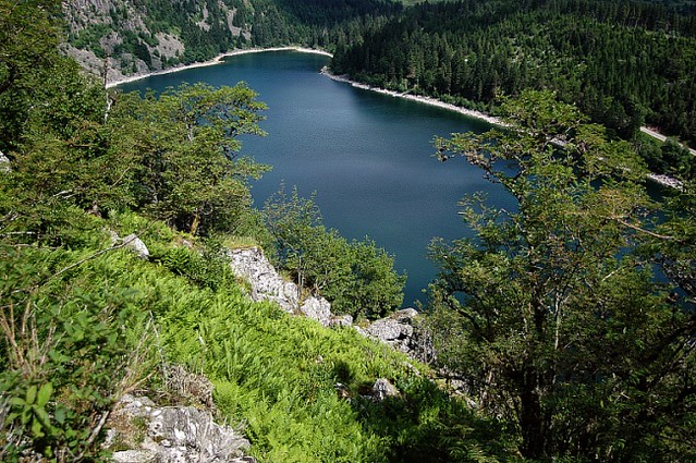 d0502017 | Blick vom Felsenweg auf den Lac Blanc. Vogesen, 25.06.2005