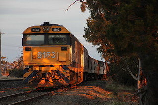 8163 and BL30 bask in the last of the Winter light in Dimboola yard