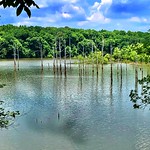 Jackson Lake / Alabama River at “Specter” Alabama 
