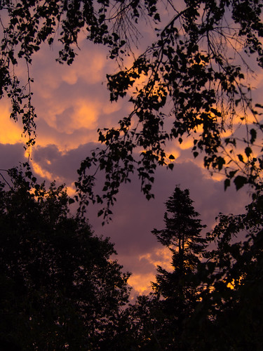 Sunset tonight | by briangeerlings