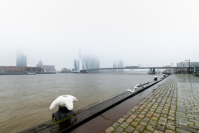 Misty Rotterdam VII