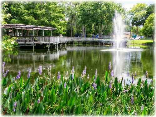 pondatmagnoliapark southdaytonaflorida pond scenic landscape water fountain dock pergola flowers nature