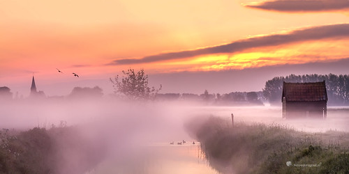 betuwefotograaf betuwe gellicum gelderland sunrise morning