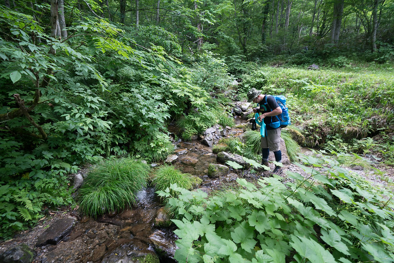 田代山から下山