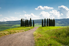 val d'Orcia-042