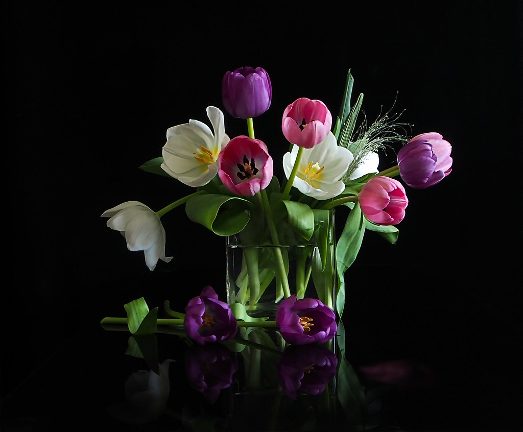 Tulips  in Glass Vase