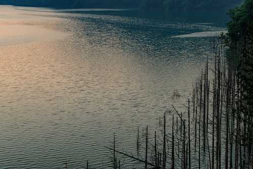 揖斐川町 岐阜県 japan 夕景 sunset 徳山湖 湖 lake