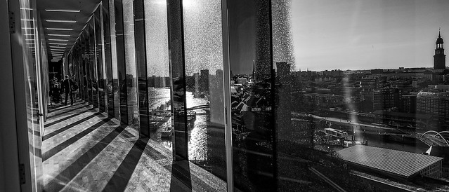 Fensterfront im 15.Stock der Elphi sw
