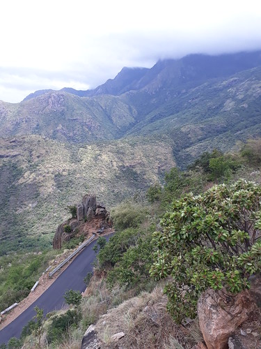 hairpin bends tamil nadu india