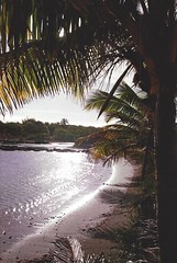 lonely beach