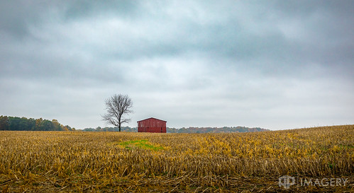 barn tree overcast cloudy whitesville winter kentucky farm rural lone daviess red usa