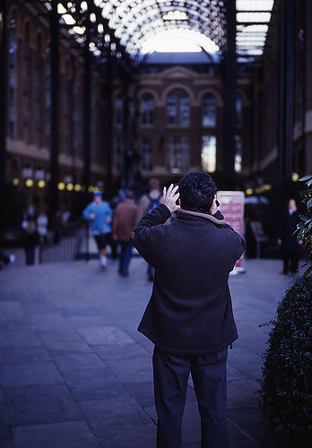 snapper by eastendimages